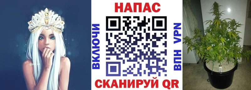 Где купить наркотики Киров ГАШ  АМФЕТАМИН  Codein  МАРИХУАНА  A-PVP  МЕФ 