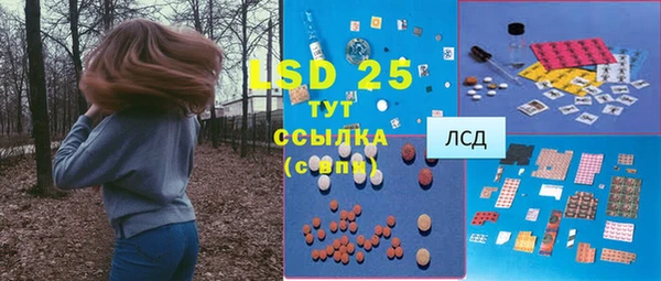 a pvp Алзамай