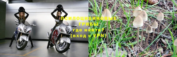 a pvp Алзамай