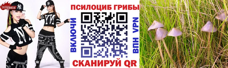 Галлюциногенные грибы ЛСД  мега онион  Киров  где продают  